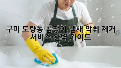 구미 도량동 곰팡이 냄새? 악취 제거 서비스 완벽 가이드!