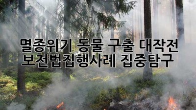 멸종위기 동물 구출 대작전! 🚨 보전법집행사례 집중탐구 🔍